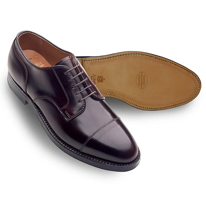 alden-2160-straight-tip-blucher-shell-cordovan-color-8 | Norton Ditto